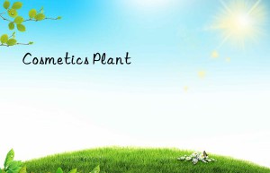 Cosmetics Plant