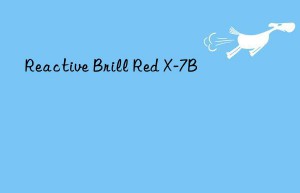 Reactive Brill Red X-7B