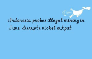 Indonesia probes illegal mining in June  disrupts nickel output