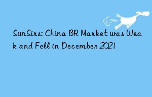 SunSirs: China BR Market was Weak and Fell in December 2021