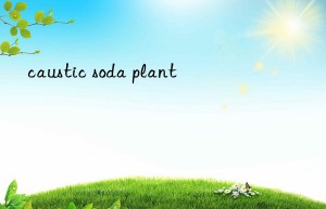 caustic soda plant