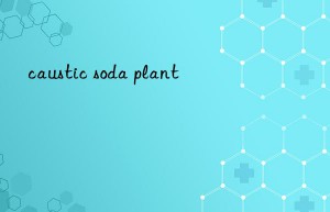 caustic soda plant