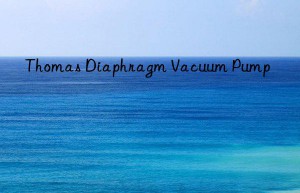 Thomas Diaphragm Vacuum Pump