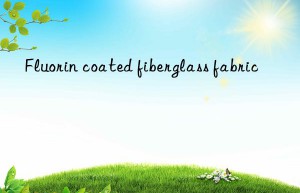 Fluorin coated fiberglass fabric