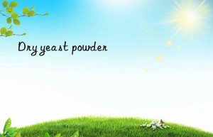 Dry yeast powder