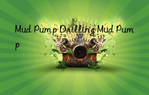 Mud Pump Drilling Mud Pump