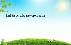 Sullair air compressor