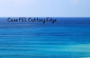 Case FEL Cutting Edge