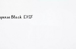 Disperse Black  EXSF