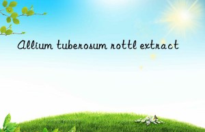 Allium tuberosum rottl extract