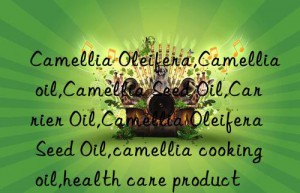 Camellia Oleifera,Camellia oil,Camellia Seed Oil,Carrier Oil,Camellia Oleifera Seed Oil,camellia cooking oil,health care product