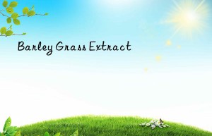 Barley Grass Extract