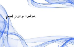 pool pump motor