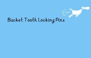 Bucket Tooth Locking Pins