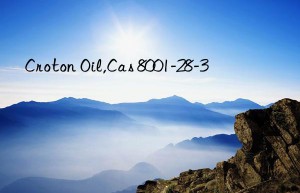 Croton Oil,Cas 8001-28-3