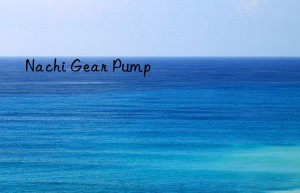 Nachi Gear Pump