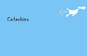 Catechins