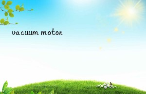 vacuum motor