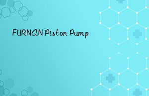 FURNAN Piston Pump