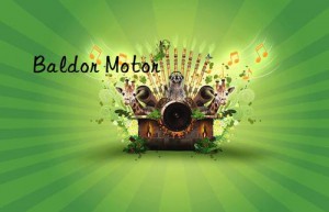 Baldor Motor