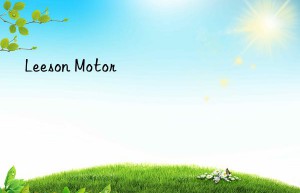 Leeson Motor