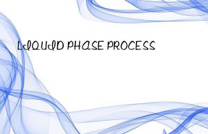 LIQUID PHASE PROCESS