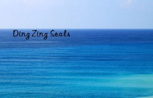 Ding Zing Seals