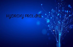 HYDROXY PROLINE