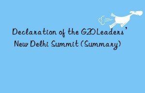 Declaration of the G20 Leaders’ New Delhi Summit (Summary)