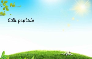 Silk peptide