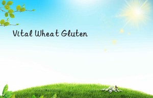 Vital Wheat Gluten