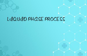 LIQUID PHASE PROCESS