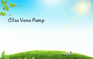 Atos Vane Pump