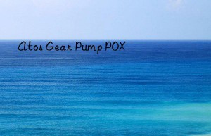 Atos Gear Pump POX