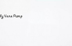 Ealy Vane Pump