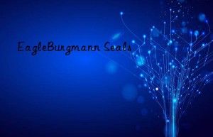 EagleBurgmann Seals