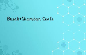 Busak+Shamban Seals