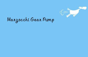 Marzocchi Gear Pump