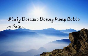 Italy Doseuro Dosing Pump Bottom Price