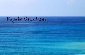 Kayaba Gear Pump