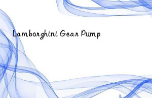 Lamborghini Gear Pump