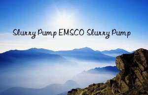 Slurry Pump EMSCO Slurry Pump