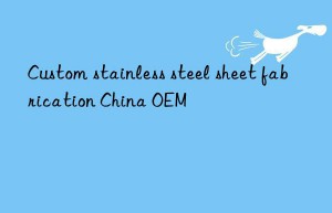 Custom stainless steel sheet fabrication China OEM