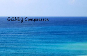 GANEY Compressor