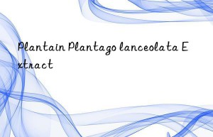 Plantain Plantago lanceolata Extract