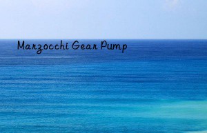 Marzocchi Gear Pump