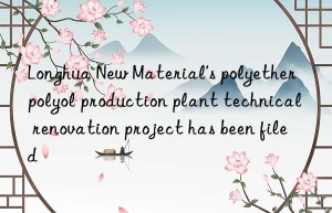 Longhua New Material’s polyether polyol production plant technical renovation project has been filed