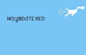 MOLYBDATE RED