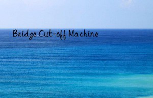 Bridge Cut-off Machine