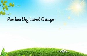 Penberthy Level Guage